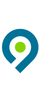 9th Way Insignia