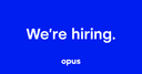 The Opus Group