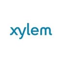 Xylem