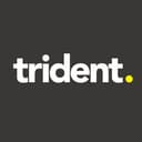 TRIDENT SYSTEMS LLC