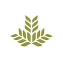 Northeast Georgia Health System