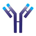 IMVT Corporation