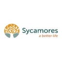 Sycamores