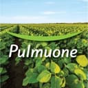 Pulmuone Foods USA, Inc.