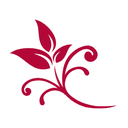 Athena Health Care Systems