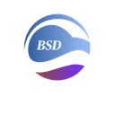 BSD Business Consulting