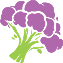 Broccoli AI