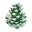 Bristlecone Companies
