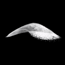 Emergence Software