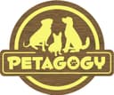 Petagogy