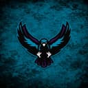 Rochester Knighthawks