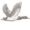 Duckhorn Wine Company
