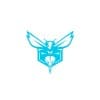 Charlotte Hornets