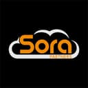 Sora Partners Inc