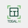 Togal AI