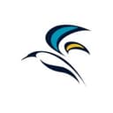 Bird's Eye Medical