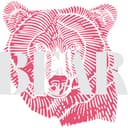 Bear Event Design