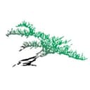 Evergreen Treatment Services & REACH