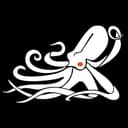 Kraken Robotics Inc.
