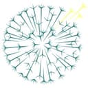 Dandelion Health Inc