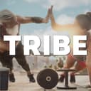 Tribe Wellness Sales