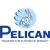Pelican Energy Consultants