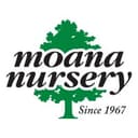 Moana Nursery