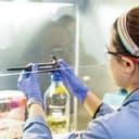 SJSU Research Foundation
