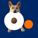Altice USA