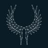 Valkyrie
