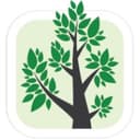 BRANCHES INC