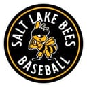 Salt Lake Bees
