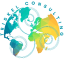 Triskel Consulting