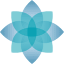 BrightSpring Health Services